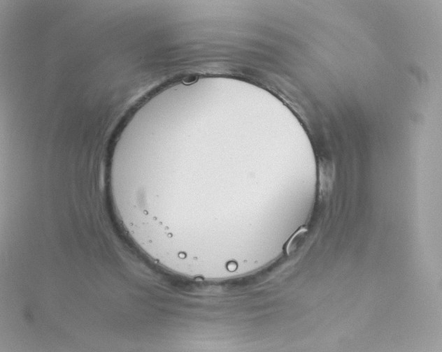 X0000115600301200911241600