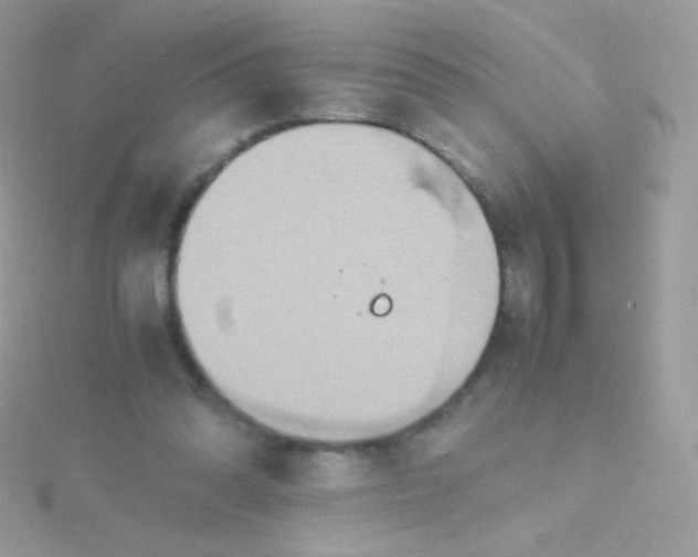 X0000115600302200911241600