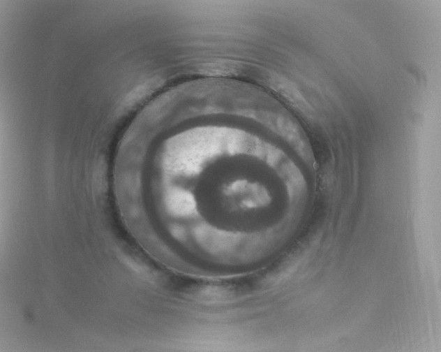 X0000115600303200911241600