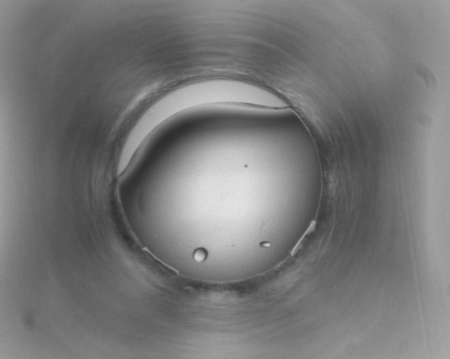 X0000115600304200911241600