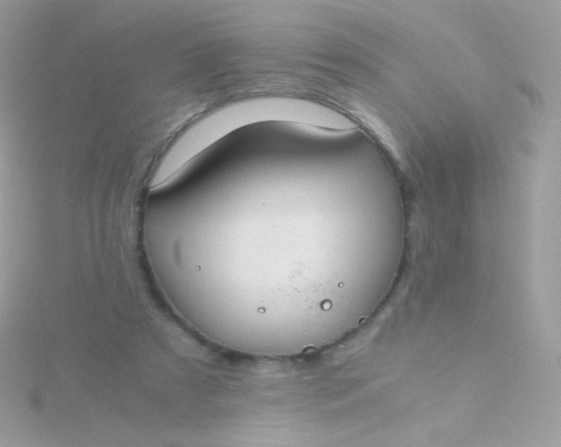 X0000115600305200911241600