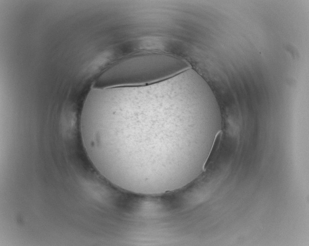 X0000115600308200911241600