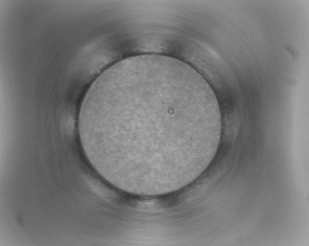 X0000115600309200911241600