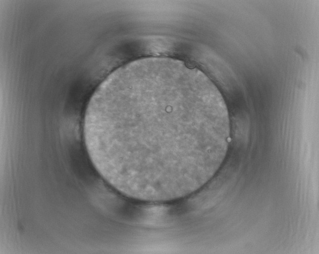 X0000115600313200911241600