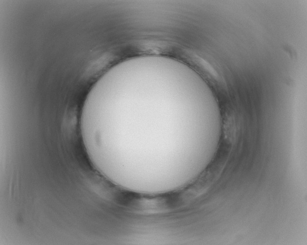 X0000115600314200911241600