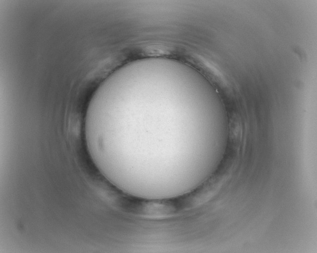 X0000115600315200911241600