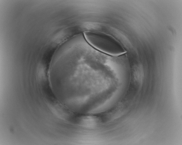 X0000115600316200911241600