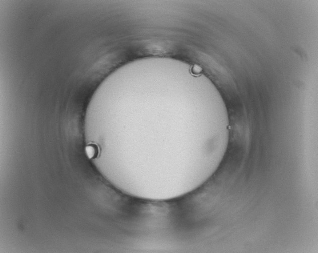 X0000115600317200911241600