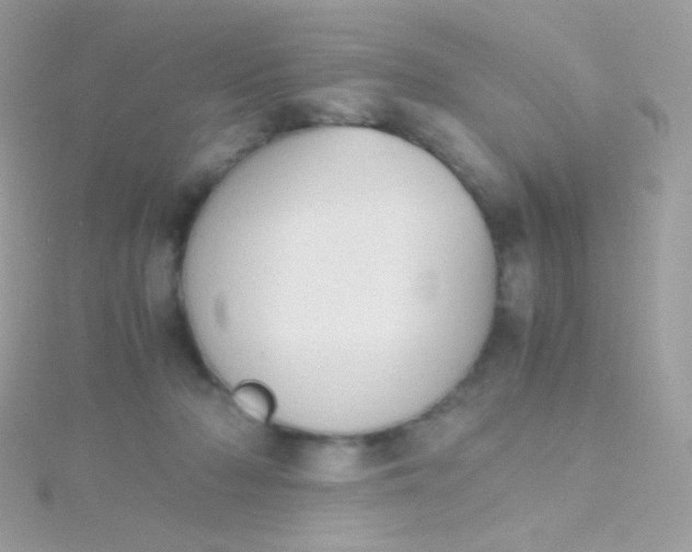 X0000115600318200911241600