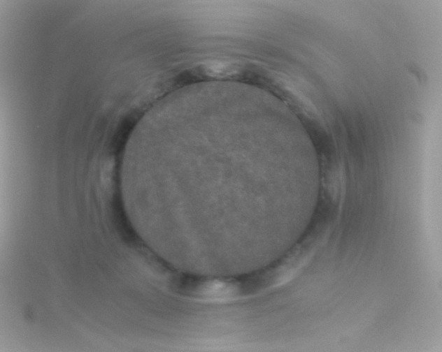 X0000115600319200911241600