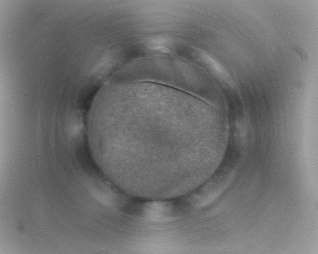 X0000115600320200911241600