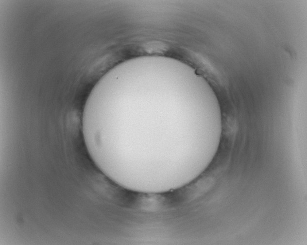 X0000115600321200911241600