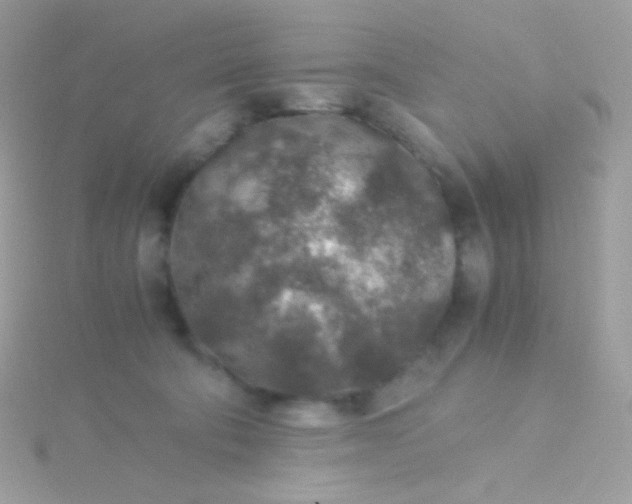 X0000115600322200911241600