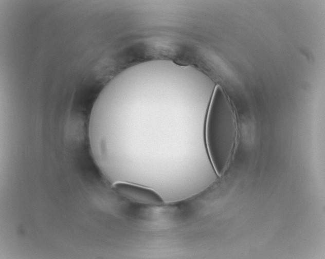 X0000115600323200911241600