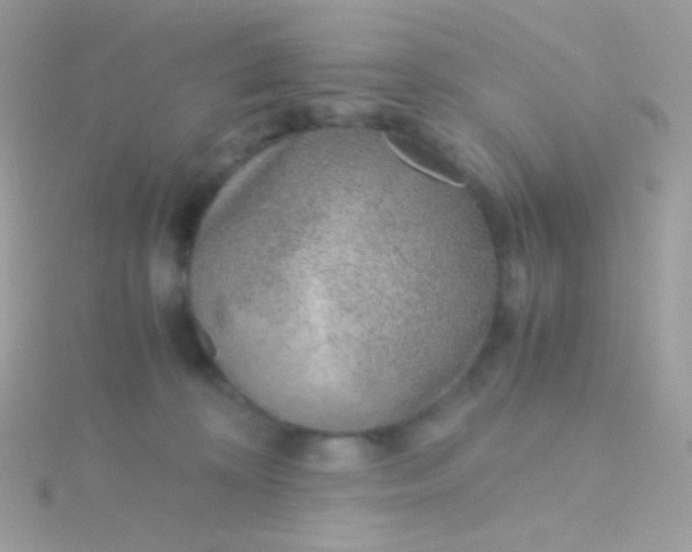 X0000115600324200911241600