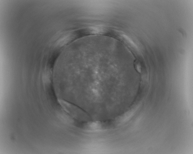 X0000115600325200911241600