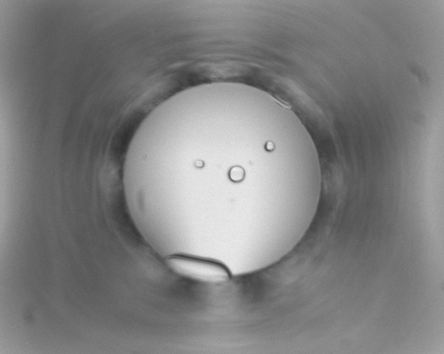 X0000115600327200911241600