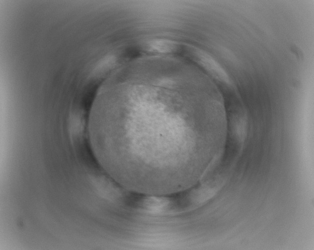 X0000115600328200911241600