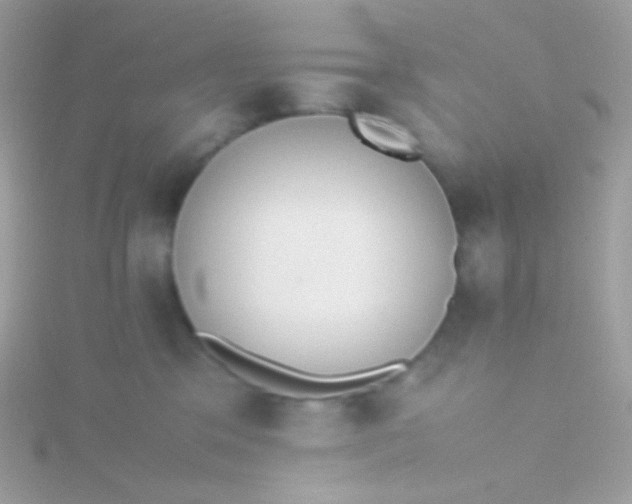 X0000115600329200911241600