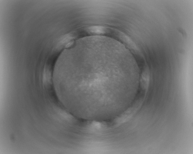 X0000115600330200911241600