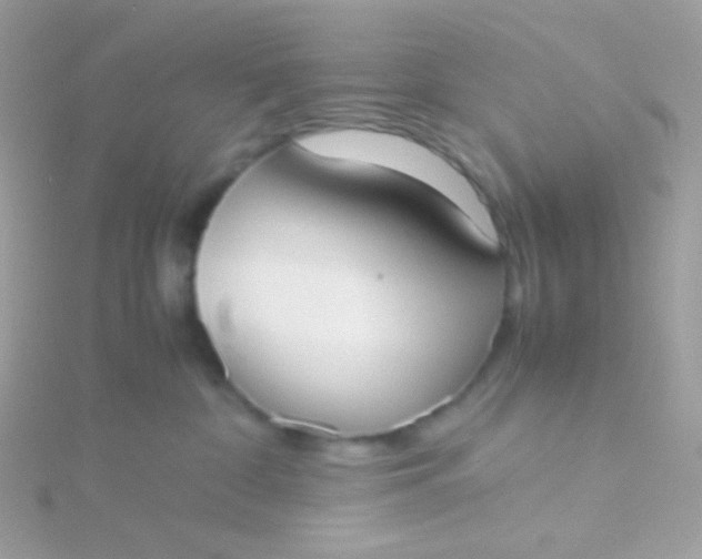 X0000115600332200911241600