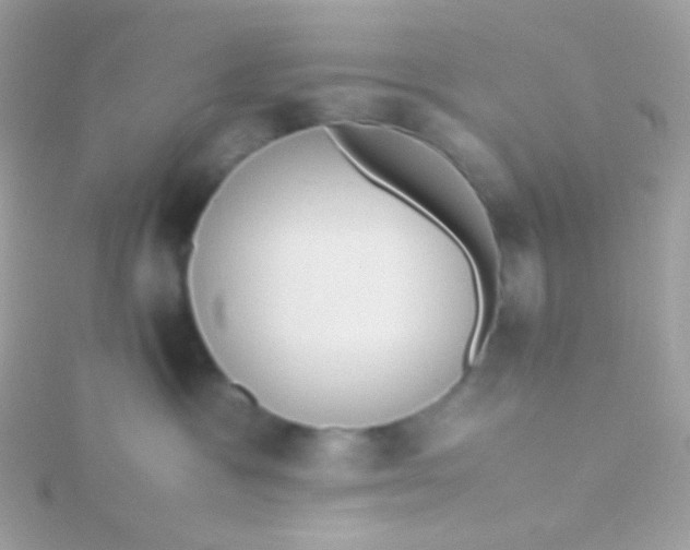 X0000115600333200911241600