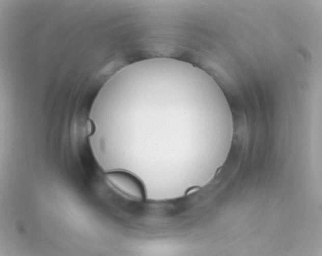 X0000115600334200911241600