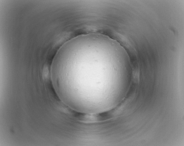 X0000115600335200911241600