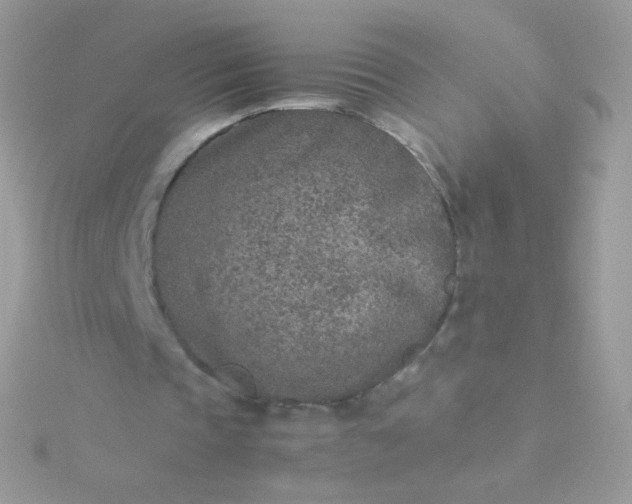 X0000115600337200911241559