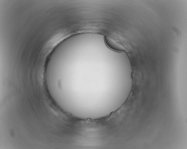 X0000115600338200911241559