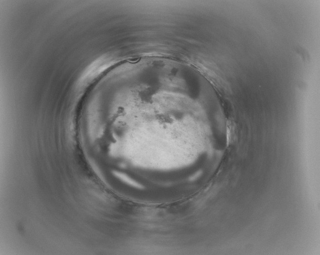 X0000115600339200911241559