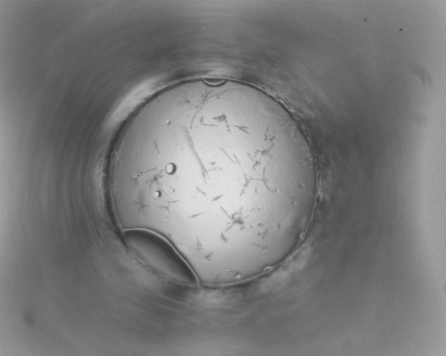 X0000115600341200911241559