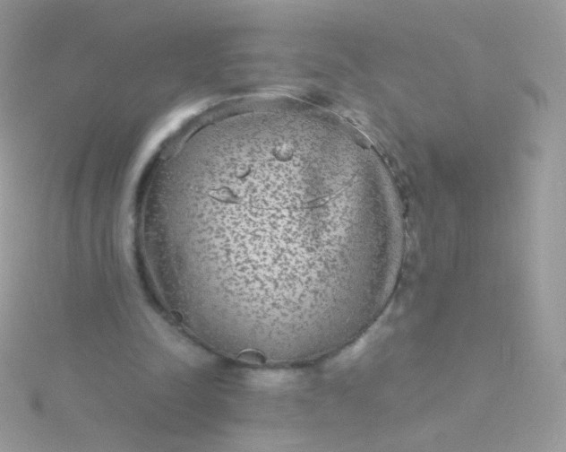 X0000115600342200911241559