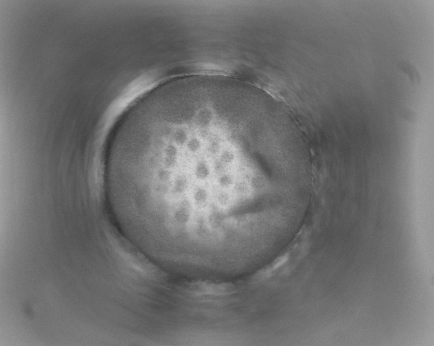 X0000115600343200911241559