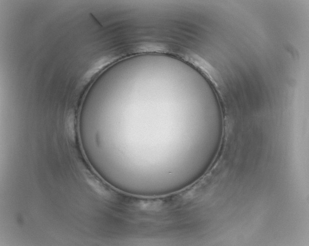 X0000115600345200911241559