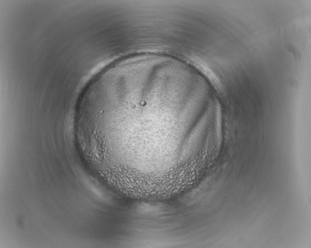 X0000115600346200911241559