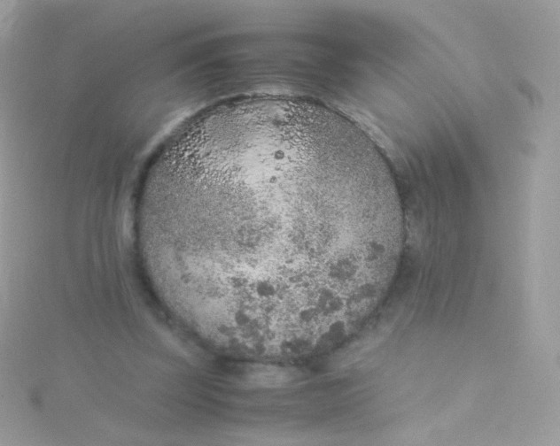 X0000115600347200911241559