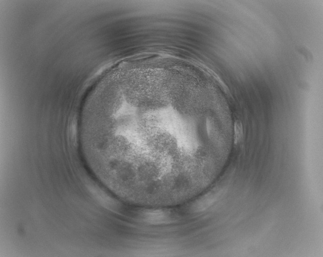 X0000115600349200911241559