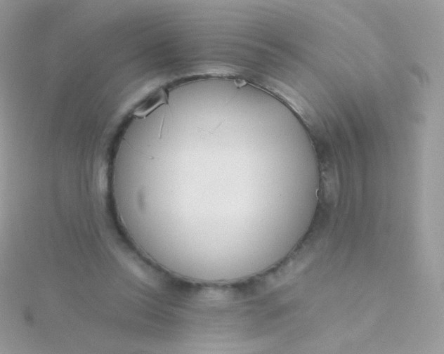 X0000115600350200911241559