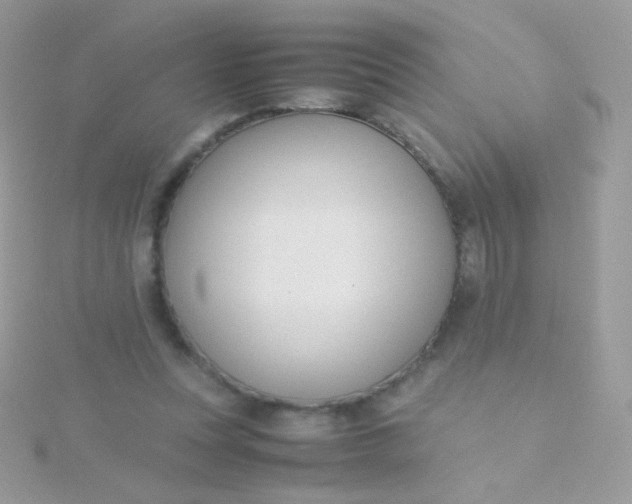 X0000115600351200911241559