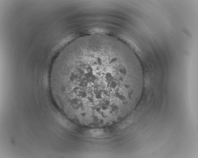 X0000115600353200911241559