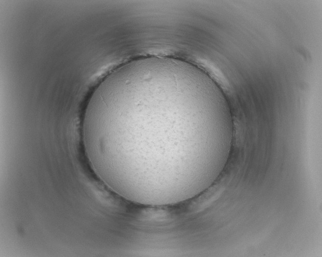 X0000115600354200911241559