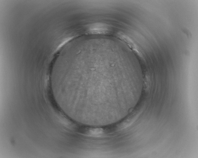 X0000115600355200911241559