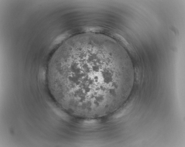 X0000115600357200911241559