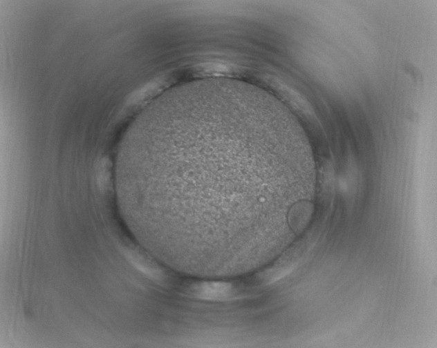 X0000115600361200911241559