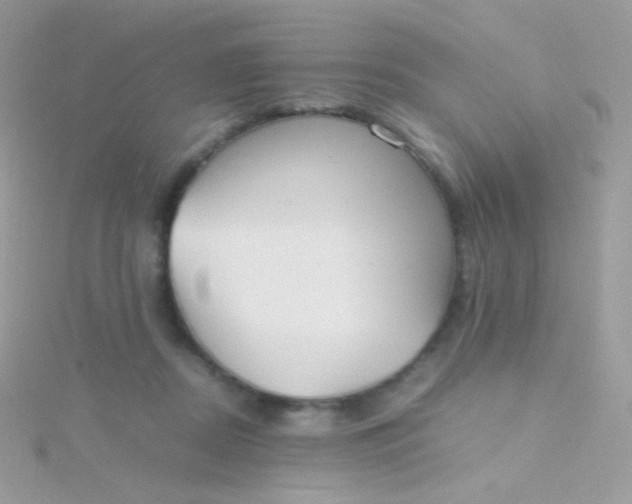 X0000115600362200911241559