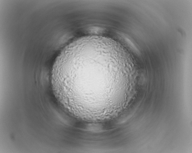 X0000115600363200911241559