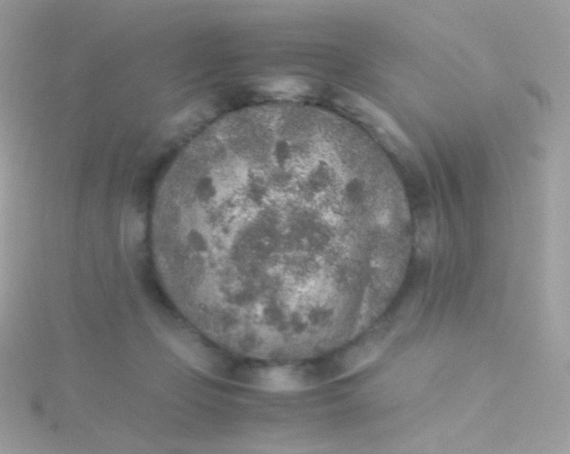 X0000115600365200911241559