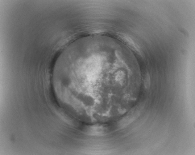 X0000115600366200911241559