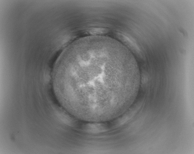 X0000115600367200911241559